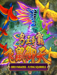 bird paradise