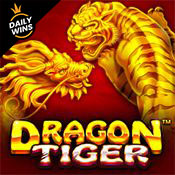 dragon tiger