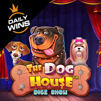 the dog house dice show