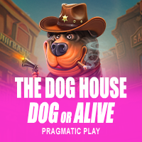 the dog house – dog or alive