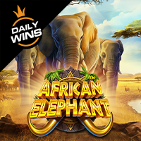 african elephant