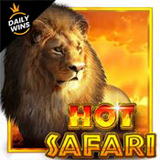 hot safari