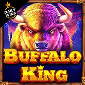 buffalo king