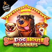the dog house megaways