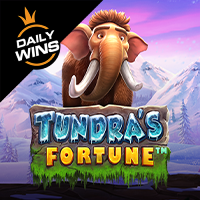 tundra’s fortune