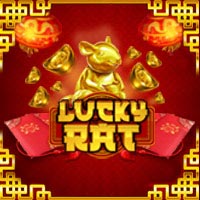 lucky rat